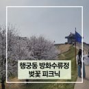 오천항 주차장 공중화장실 | 수원 방화수류정 벚꽃 맛집 피크닉 주차장 화장실 아기랑