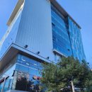 하니네 | 하니헬멧 판교센터 단두교정 솔직 후기 1 (두상교정/한헬스케어/추천인공유)