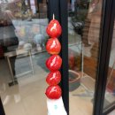 2월 일상 : 2박 3일 전북 여행(전주,부안)