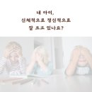 소프니스 이미지