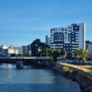 재선농장 | 6월 일기) 타운즈빌 두달 후기 정신상태가 안좋아졌어요 #호주워홀16