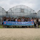 8월3일,충북조리사선생님들 청송로컬푸드 견학방문 2 이미지