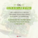 미나리 이미지