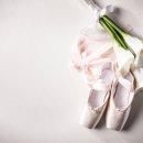 초등성장발레 이미지