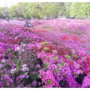 군포-산본-2004 이미지