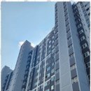 원주현대부동산공인중개사 | 전주완산구부동산 믿을 수 있는 부동산 파트너, 현대공인중개사 후기