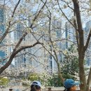 (주)대동공영 - 세종특별자치시 | (주)대동공영