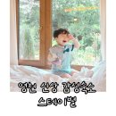 스테이인 1025 | 영천 신상 독채 감성 숙소 스테이별 바베큐 자쿠지 조식까지 한옥 촌캉스