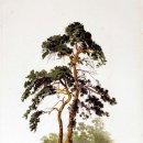 통영바다펜션 이미지