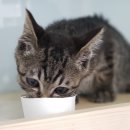 수호동물병원 이미지