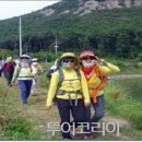 먹거리장터 이미지