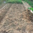 실버농장 이미지