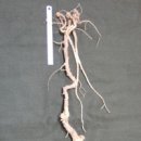 산호동280 이미지