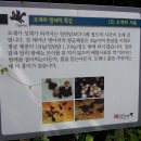 지산농원 이미지