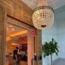 씨에스타 이미지