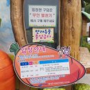 산토끼노래동산 네이버블로그