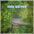 작천정별빛야영장 | 울산 작천정 별빛야영장 계곡 캠핑후기