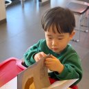 3세 책육아｜세계창작전집 아람북스 쿨쿨레슬링 후기