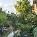 아초원별관 | 안산 아이랑 가기 좋은 월남쌈 / 쌀국수 무한리필 맛집 :: 아초원 안산점