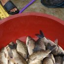 행복 낚시터 이미지