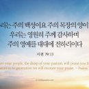 오늘의 &#39;영어성경 사진&#39;(434강) “찬양해라”(시편 79편 13절) 이미지