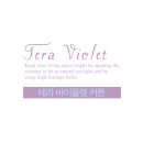 라움스튜디오 이미지