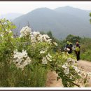 경산목장 이미지