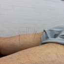 [W166] Spring into Movement! 봄, 몸도 새롭게 시작하세요 | Alignlab Chiropractic 이미지