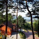 봉수산 자연휴양림 이미지