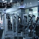 1981골프앤휘트니스 이미지