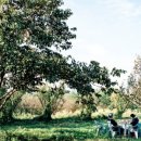 비원식당 이미지