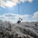 하동케이블카 이미지