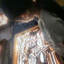 산호초등학교 이미지