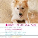 율하우리약국 이미지