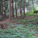 두동편백마을 이미지