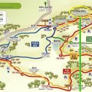 서귀포자연휴양림 이미지