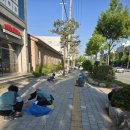 칠금금릉동 행정복지센터 | [칠금금릉동] 행정복지센터 일원 새마을 꽃동산