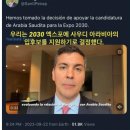 섬산오징어 이미지