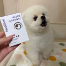 휴먼아이케어 이미지