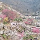 강변의 수채화 이미지