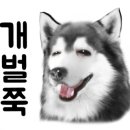 오미룸