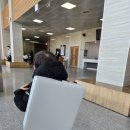 청주아트홀 | 청주 무지개 물고기 뮤지컬 후기｜청주 아트홀 가족뮤지컬 내돈내산 관람 리뷰