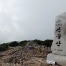 210716 신불산(지산마을-영축산-신불산-간월재-영남알프스복합웰컴센터) 이미지