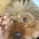 오운골2세천 | 🔖 1월 탈탈