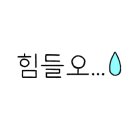 카페비올렛