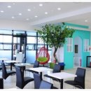 아지애견 이미지