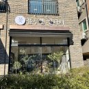 블루멘칸타타 | 대전 유성 예쁜 꽃집에서 원데이클래스 하고 온 후기, 블루멘칸타타💐