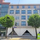 소나무언덕 이미지