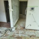 트라비건 이미지