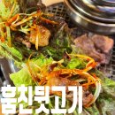 극강의 가성비에 맛까지 잡은 장기동 고깃집 훔친뒷고기 장기점